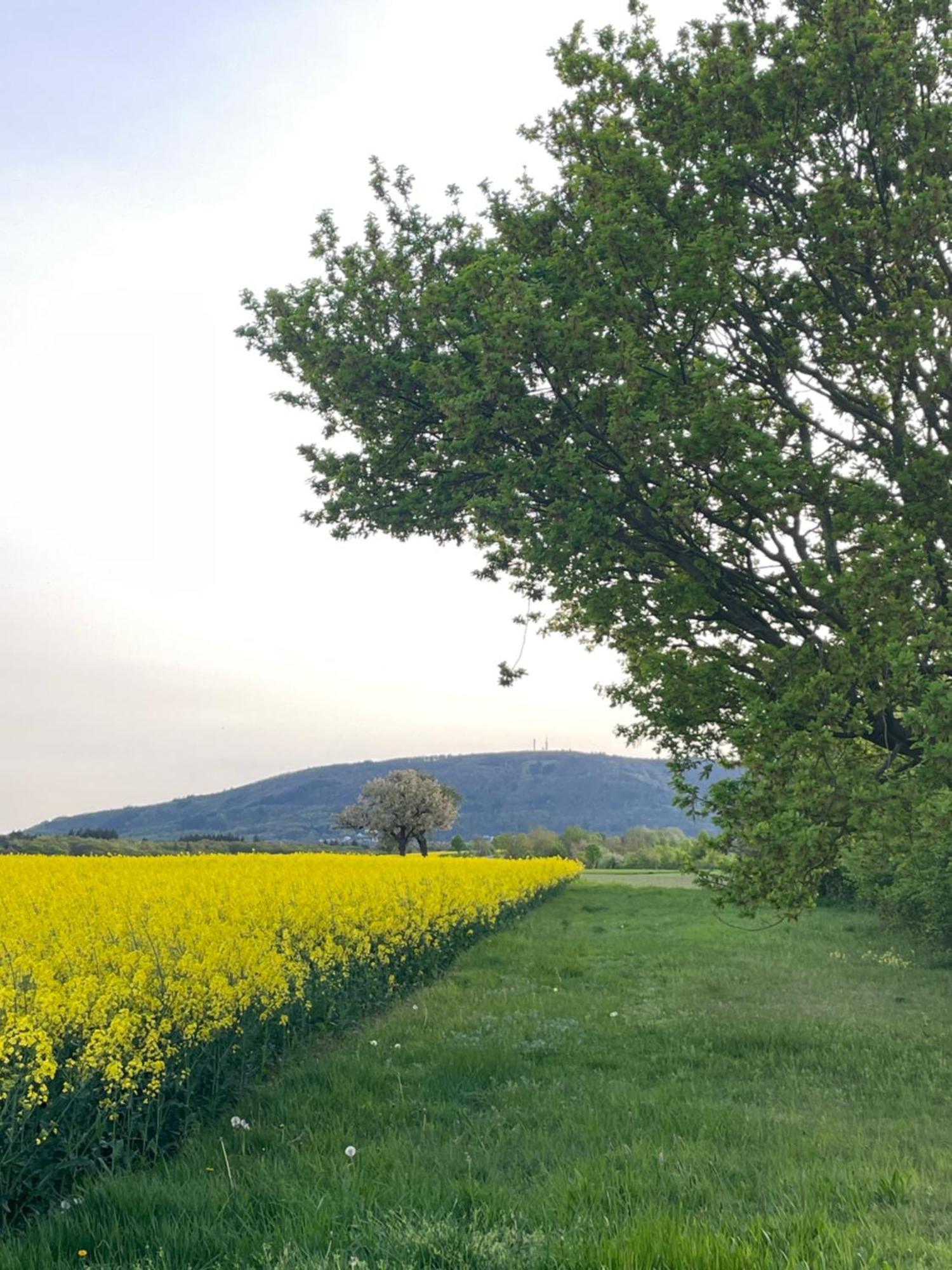 "Casita Linda "Am Donnersberg Villa Dannenfels Buitenkant foto