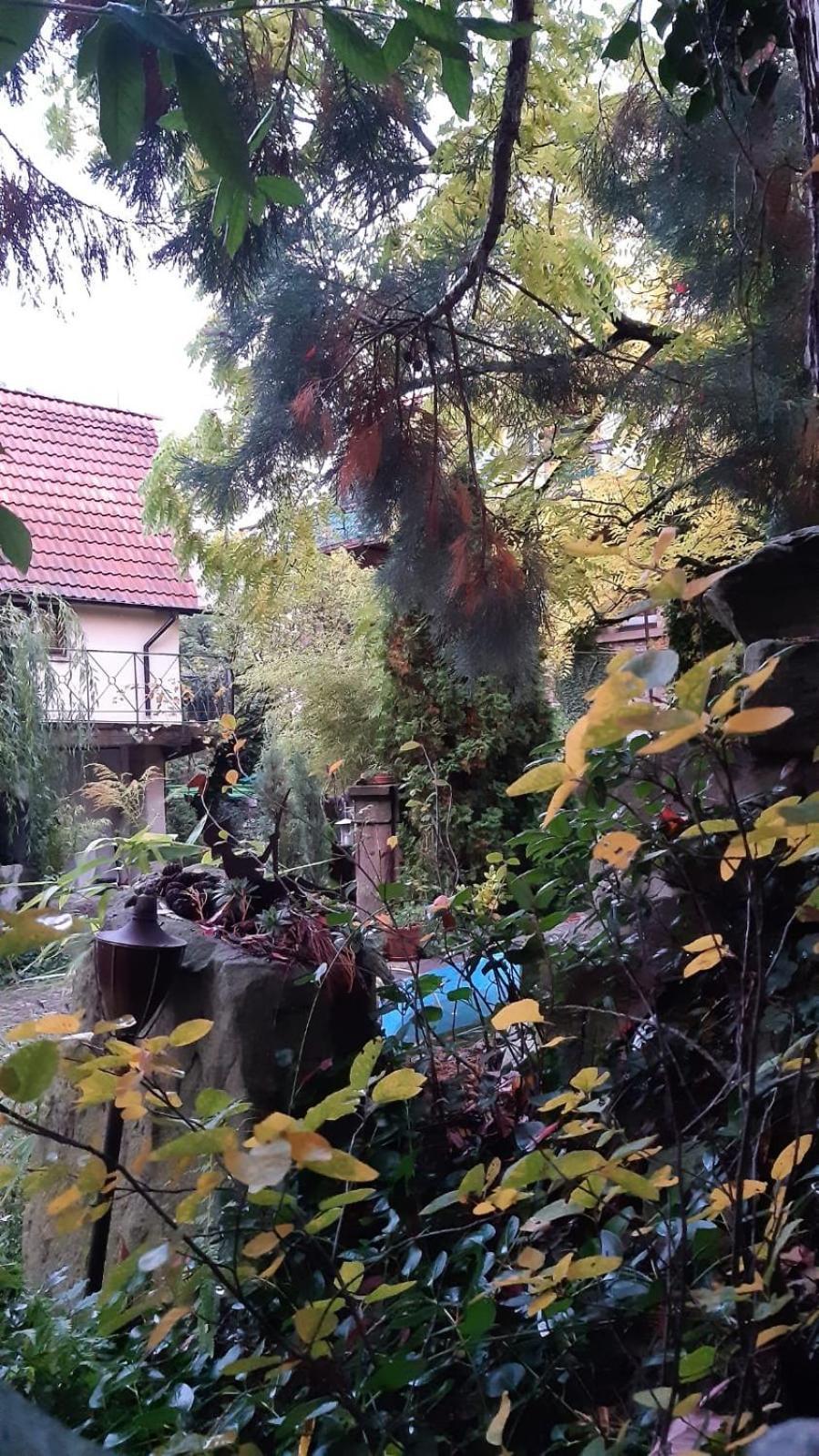 "Casita Linda "Am Donnersberg Villa Dannenfels Buitenkant foto