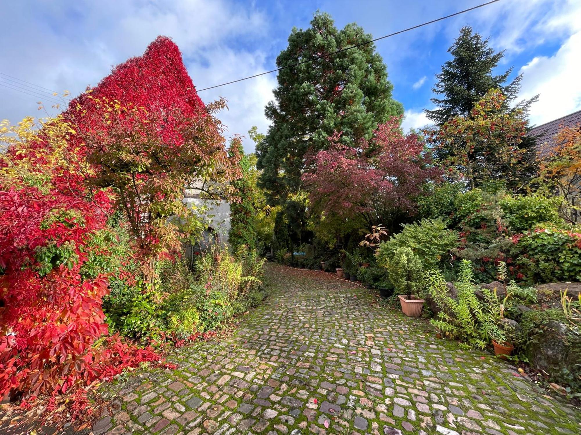 "Casita Linda "Am Donnersberg Villa Dannenfels Buitenkant foto